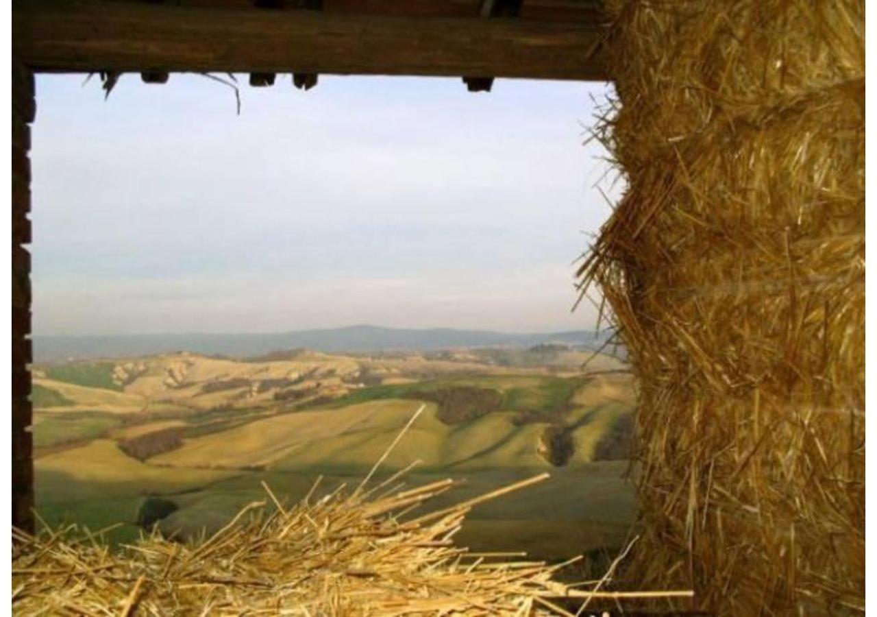 Agriturismo Le Crete - Appartamenti Asciano Exterior foto